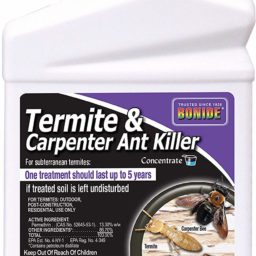 Bonide Termite & Carpenter Ant Killer | A Do It Yourself Pest Control Store
